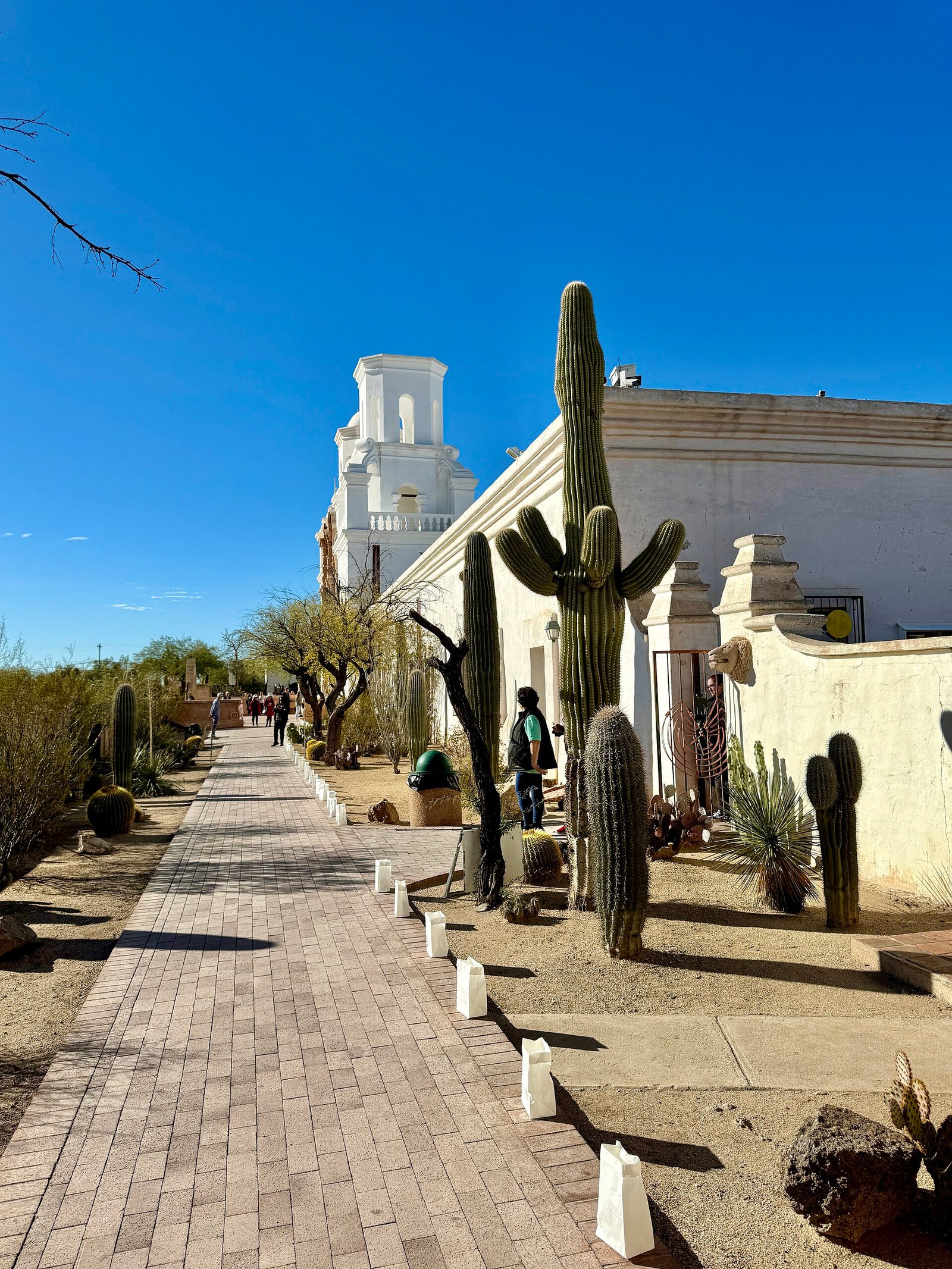 Mission San Xavier del Bac framed by saguaros south of Tucson