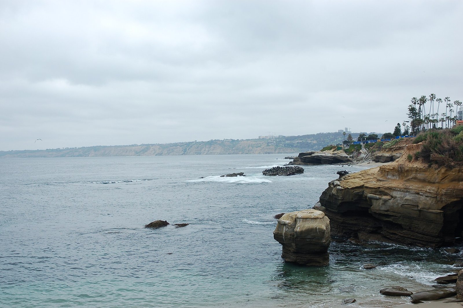La Jolla Cove on a grey morning, San Diego