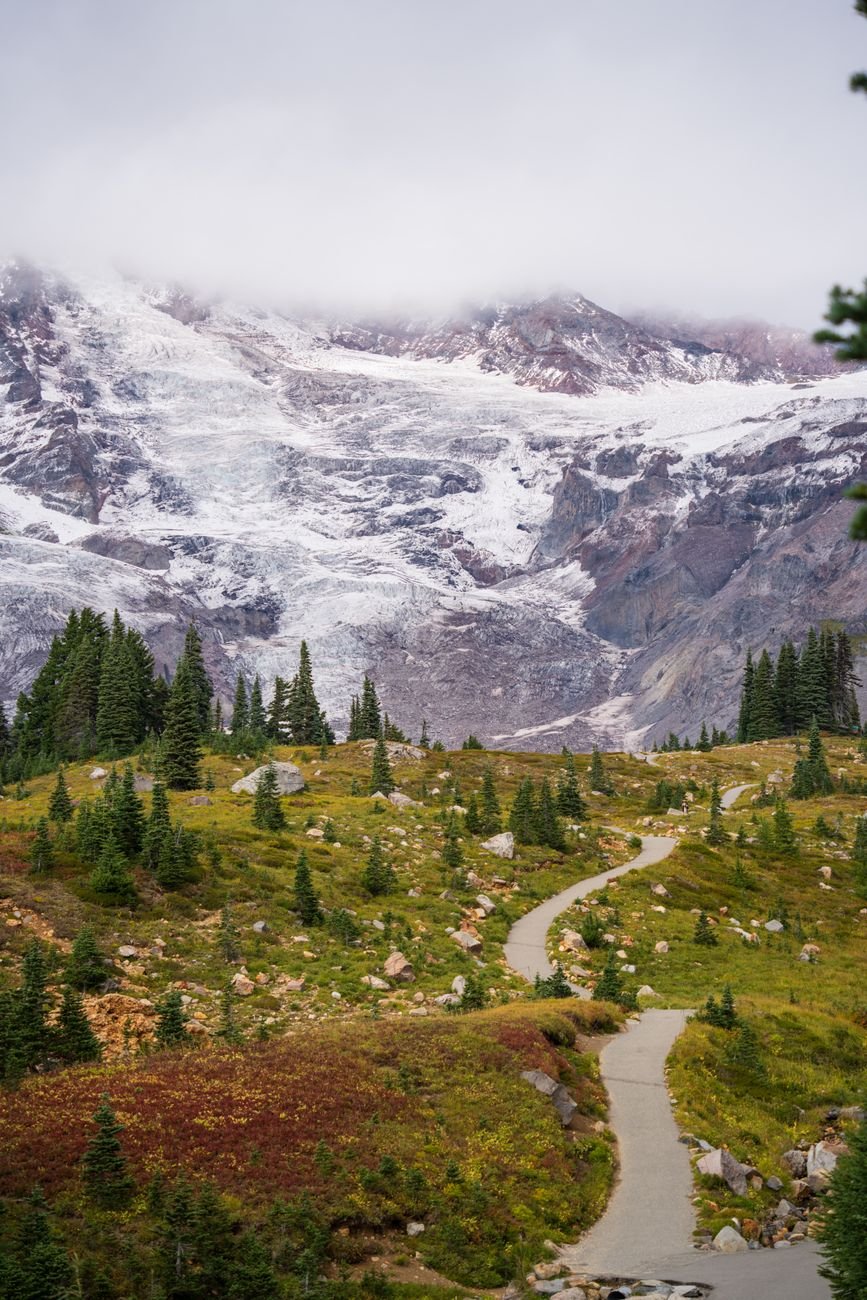 Mount Rainier above wildflower meadows at Paradise